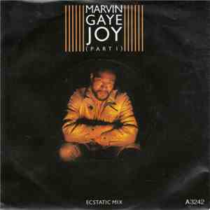 Marvin Gaye - Joy (Part 1) Ecstatic Mix album flac