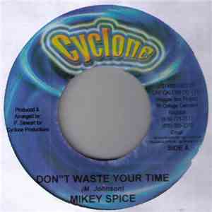 Mikey Spice - Don't Waste Your Time album flac