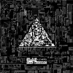Model For Assembl - A_Cartel album flac