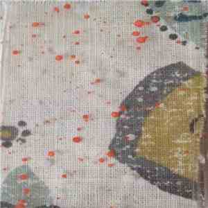 Mushigo Palm - Caldera Lakes album flac