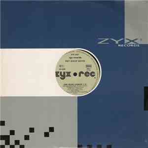 Pet Shop Boys - One More Chance album flac