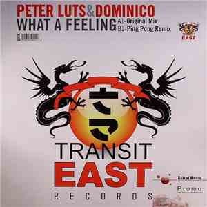 Peter Luts & Dominico - What A Feeling album flac