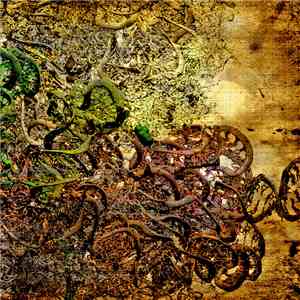 Poltergeist  - Ordinary Differential Equation (or) Sticky Isotypic album flac