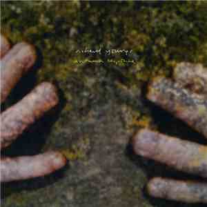Richard Youngs - Autumn Response album flac