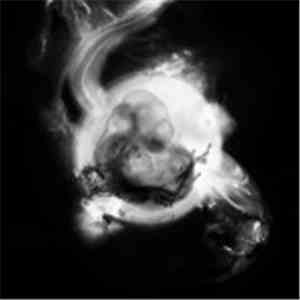 Saffronkeira - Saffronkeira album flac