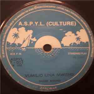 Salum Khamis / Mavuno Matano - Vumilo Lina Mwisho / Hunitaki Sikutaki album flac