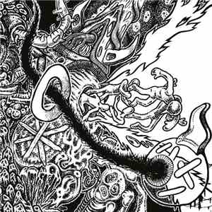 Shackleton - Music For The Quiet Hour / The Drawbar Organ EPs album flac