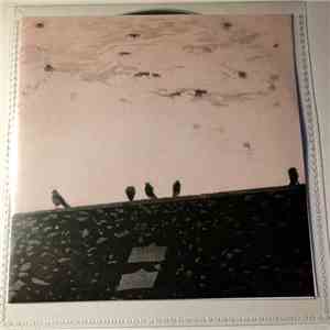 Stuart A. Staples - Arrhythmia album flac