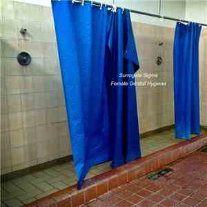 Surrogate Sigma - Female Genital Hygiene album flac