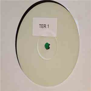 Terri Wells - I'll Be Around album flac