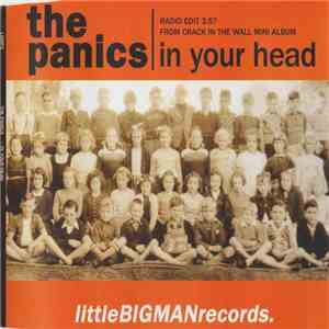 The Panics - In Your Head album flac