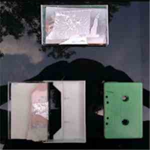 Thickly Painted Walls - "Swinger Faults" album flac