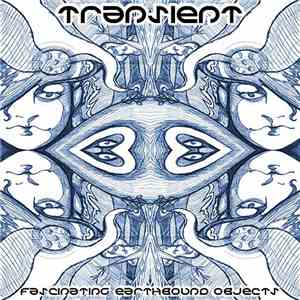 Transient - Fascinating Earthbound Objects album flac