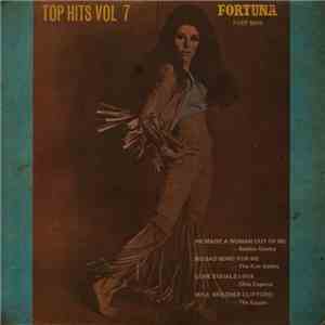 Various - Top Hits Vol 7 album flac