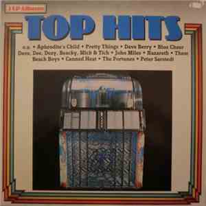 Various - Top Hits album flac