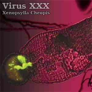 Virus XXX - Xenopsylla Cheopis album flac