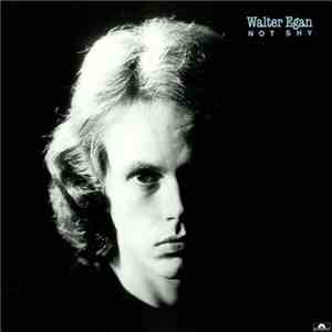 Walter Egan - Not Shy album flac