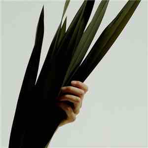 Wet - Weak album flac