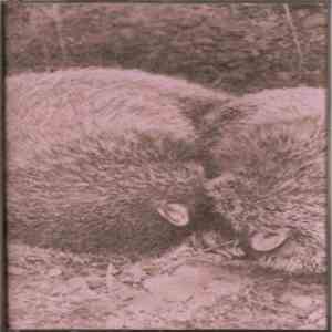 Akbapnym - Pok-rpynna album flac