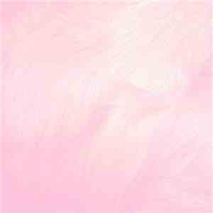 夕方の犬 = Dog In The Evening - Choir And Room album flac