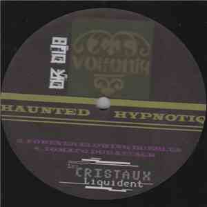 Dr Dub RMX Volfoniq - Haunted Hypnotiq album flac