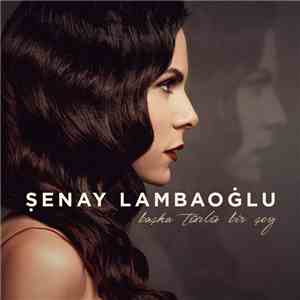 Şenay Lambaoğlu - Başka Türlü Bir Şey album flac