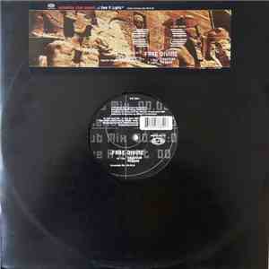 Fake Divine - Egyptian Reggae album flac