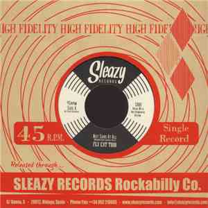 Fly Cat Trio - Not Sure At All / Easy Comes, Easy Goes album flac