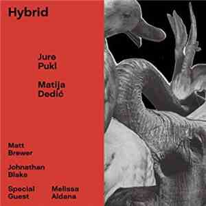 Jure Pukl, Matija Dedić - Hybrid album flac