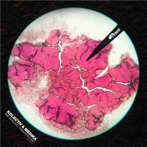Kolectiv & Medika - Paid In Blood / Underground album flac
