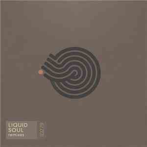 Liquid Soul - Remixes album flac