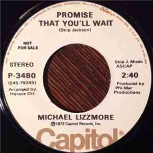 Michael Lizzmore - Try A Little Tenderness / Promise That You'll Wait album flac