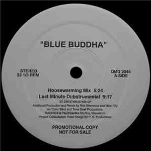 My Life With The Thrill Kill Kult - Blue Buddha album flac
