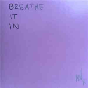 Nina Nesbitt - Brisbane album flac