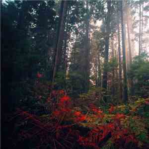 North Takoda - Rainy Day EP album flac