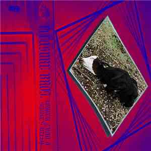 Pleasure Bros. - Lower Than A Snake's Belly album flac