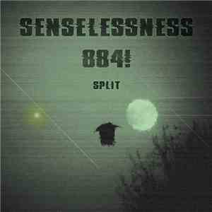 senselessness / 884! - Split album flac