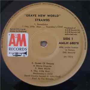 Strawbs - Grave New World album flac