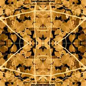 Tardiss - Behind The Blind album flac
