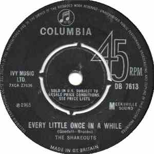 The Shakeouts - Every Little Once In A While album flac