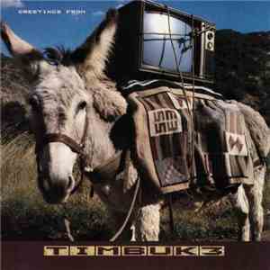 Timbuk 3 - Greetings From Timbuk 3 album flac