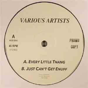 Various - Every Little Thang album flac