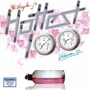 Various - Triple J's Hottest 100 Volume 12 album flac