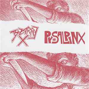 Bizarre X / Pyosalpinx - Bizarre X / Pyosalpinx album flac