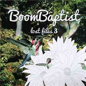 BoomBaptist - The Lost Files Vol. 3 (2006-2007) album flac