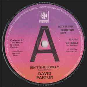 David Parton - Isn't She Lovely album flac