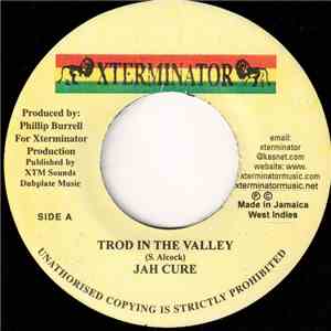 Jah Cure - Trod In The Valley album flac