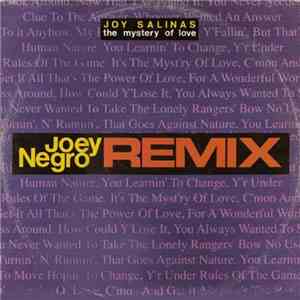 Joy Salinas - The Mystery Of Love (Joey Negro Remix) album flac