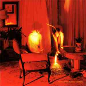 Kammerflimmer Kollektief - Cicadidae album flac
