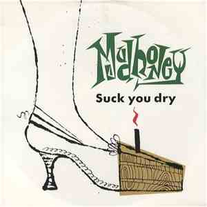 Mudhoney - Suck You Dry album flac